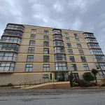 Rent 3 bedroom apartment in Port Elizabeth