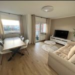 Rent 3 bedroom apartment of 62 m² in Dortmund