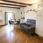 Rent 2 bedroom apartment of 55 m² in Turin