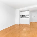 Rent 1 bedroom apartment of 58 m² in New York