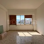 Rent 7 bedroom apartment of 138 m² in Palermo