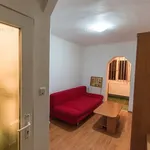 Rent 1 bedroom apartment of 19 m² in Timișoara