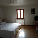 Rent 2 bedroom apartment of 50 m² in Florence