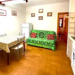 Rent 2 bedroom apartment of 30 m² in San Teodoro