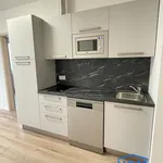 Pronajměte si 2 ložnic/e byt o rozloze 6265 m² v Pilsen