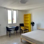 Rent 7 bedroom apartment in Valencia