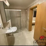 Rent 1 bedroom apartment of 33 m² in Prague