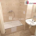 Rent 1 bedroom apartment of 32 m² in Praha