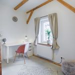 Miete 3 Schlafzimmer wohnung von 91 m² in Kassel