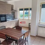 Rent 3 bedroom apartment of 70 m² in Catanzaro