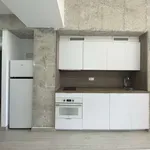 Rent 1 bedroom apartment of 75 m² in barcelona