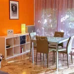 Rent 3 bedroom apartment of 65 m² in Padova