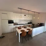 Rent 3 bedroom apartment in AALST