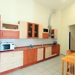 Rent 4 bedroom apartment of 150 m² in Karlovy Vary