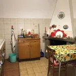 Rent 3 bedroom apartment of 120 m² in Roma