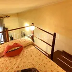 Rent 1 bedroom apartment of 30 m² in Firenze