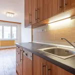 Rent 2 bedroom apartment of 40 m² in Prague