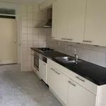 Huur 1 slaapkamer appartement van 99 m² in Amsterdam