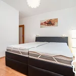 Rent 3 bedroom apartment of 80 m² in Prague