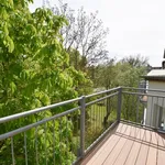 Rent 3 bedroom apartment of 74 m² in Chemnitz