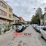 Rent 1 bedroom apartment in Brno