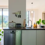 Rent 3 bedroom apartment of 180 m² in Berlin