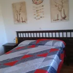 Alquilo 2 dormitorio apartamento de 60 m² en Girona']