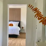 Miete 3 Schlafzimmer wohnung von 87 m² in Ludwigshafen am Rhein