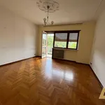 Rent 3 bedroom apartment of 77 m² in Turin