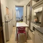 Rent 1 bedroom apartment of 40 m² in Turin