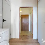 Rent 1 bedroom apartment in Plzeň