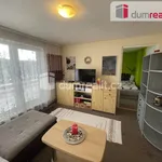 Pronajměte si 1 ložnic/e dům o rozloze 201 m² v Ratíškovice