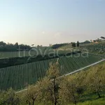 Rent 5 bedroom house of 130 m² in San Casciano in Val di Pesa