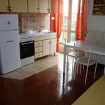 Rent 2 bedroom apartment of 50 m² in Roma