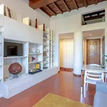 Rent 4 bedroom apartment of 55 m² in Florence