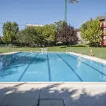 Rent 2 bedroom apartment of 65 m² in Madrid