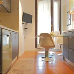 Rent 3 bedroom apartment of 110 m² in Monza