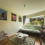 Rent 2 bedroom apartment in Auckland