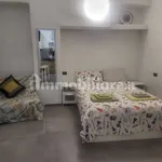 Rent 1 bedroom apartment of 25 m² in Turin