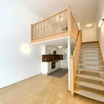 Rent 1 bedroom apartment of 54 m² in Wien