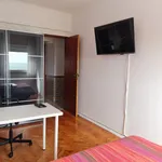 Rent 3 bedroom apartment in Lisbon