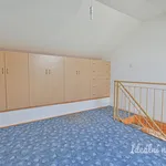 Rent 1 bedroom apartment of 34 m² in Brno