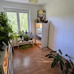 Rent 2 bedroom apartment in Tachov