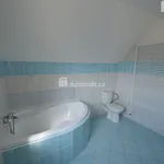 Rent 1 bedroom house of 73 m² in Chýně