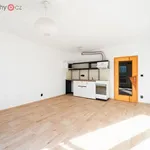 Rent 1 bedroom apartment of 37 m² in Plzeň