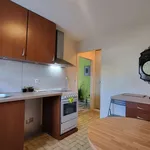 Rent 1 bedroom apartment of 32 m² in Saint-Dié-des-Vosges