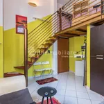 Rent 1 bedroom apartment of 41 m² in Torino