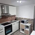 Rent 2 bedroom apartment of 55 m² in Bari