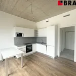 Pronajměte si 2 ložnic/e byt o rozloze 45 m² v Brno