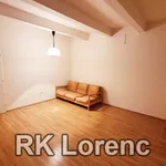 Rent 2 bedroom apartment of 44 m² in Brno